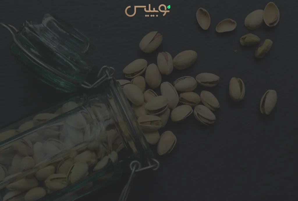 انواع پسته برای خرید