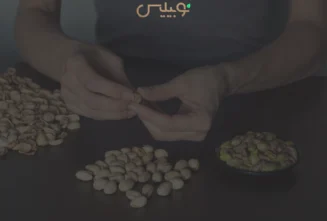 خواص پوست پسته،9 فایده شگفت‌انگیز پوست پسته برای سلامتی