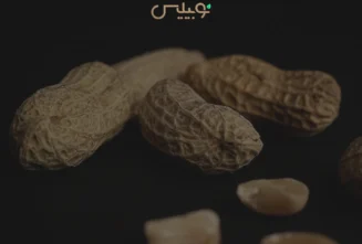 پسته شامی چیست؟