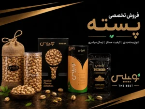 نوبیلیس
