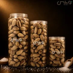 قیمت و خرید پسته اکبری شور | جار نوبیلیس